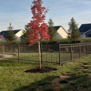 residential fence