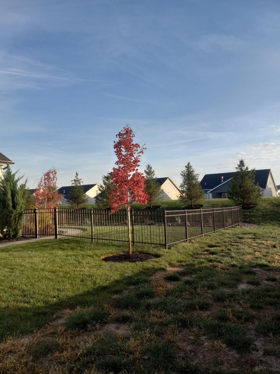 residential fence